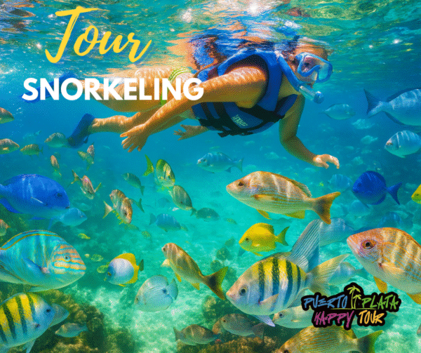 Snorkeling tour en puerto plat
