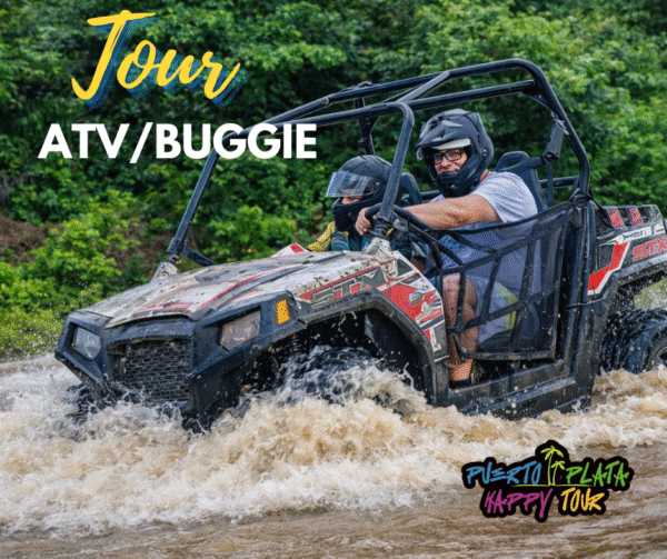 14 ATV/ Buggie