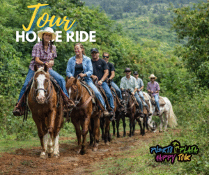 Horse ride / paseo en caballo