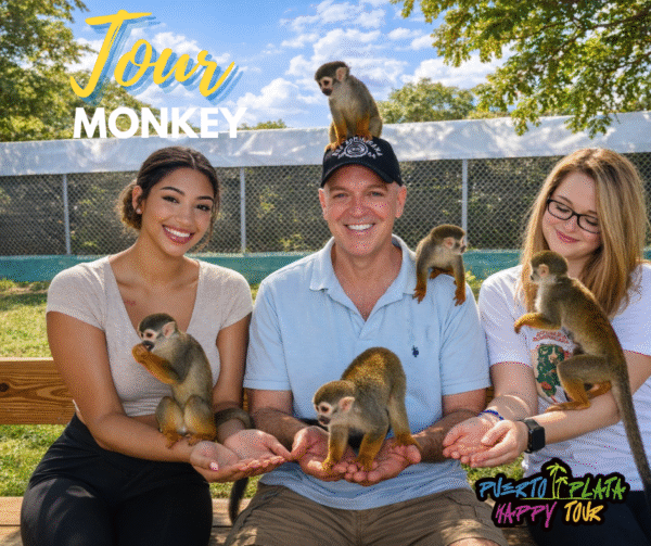 Visita a los monos tour